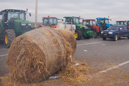 agrotes - bloka